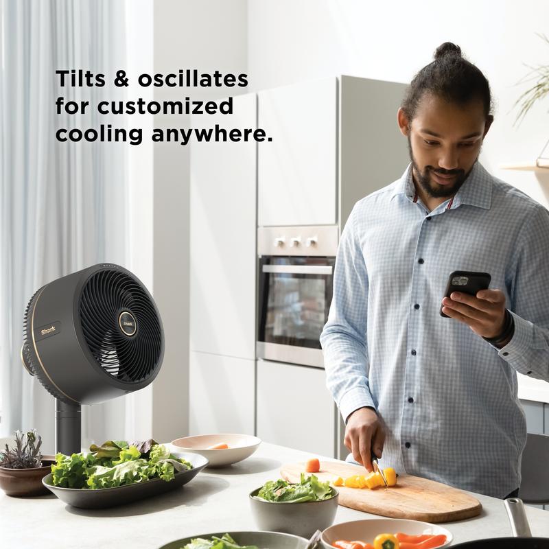 Cordless Breeze Stand Desk Fan