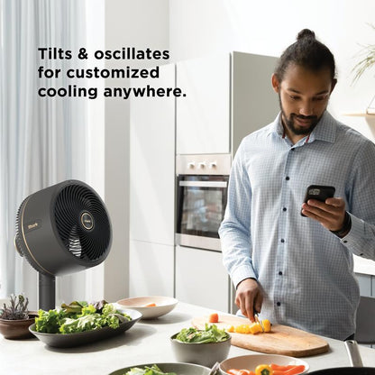Cordless Breeze Stand Desk Fan